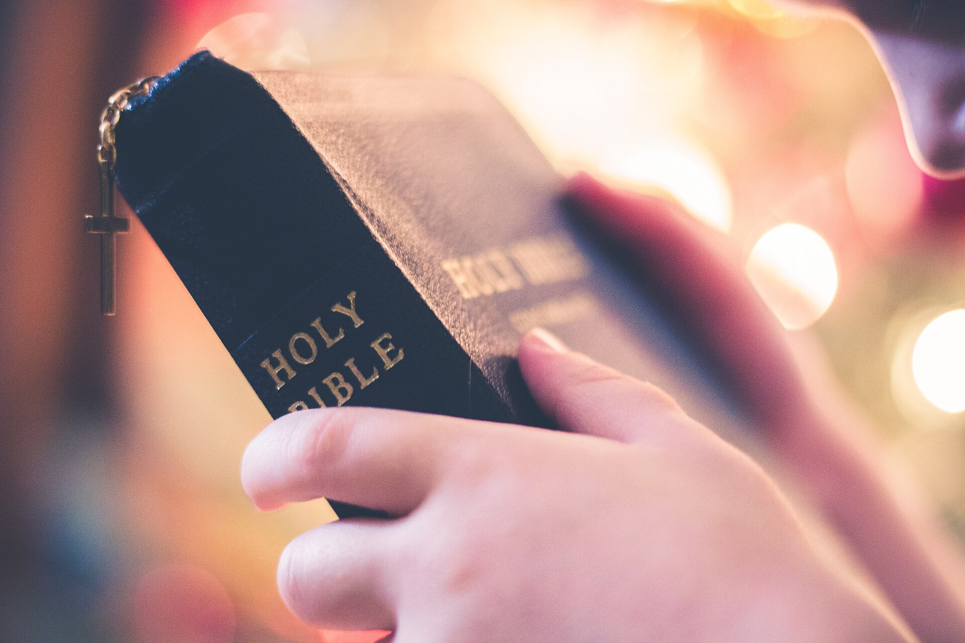 What Is in the New Testament?